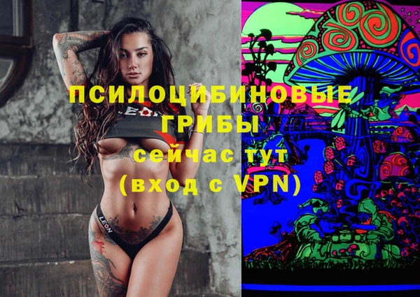 бошки Богородск